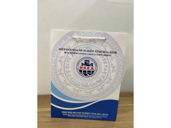 In túi đựng quà Tết sang trọng và ý nghĩa