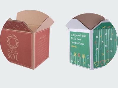Nên chọn hộp giấy kraft nâu hay hộp giấy trắng để in ấn đựng sản phẩm