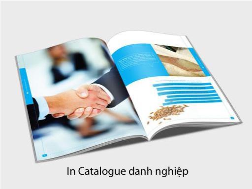 in catalogue cho doanh nghiep
