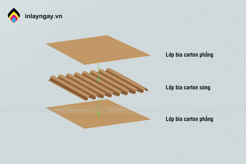 Các lớp của carton sóng