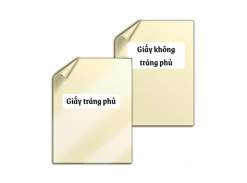 giay-trang-hu-va-khong-trang-phu.jpg (92 KB)