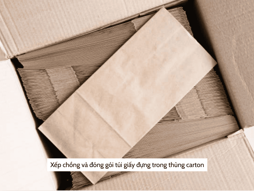 tui-giay-dung-trong-thung-carton.png (486 KB)