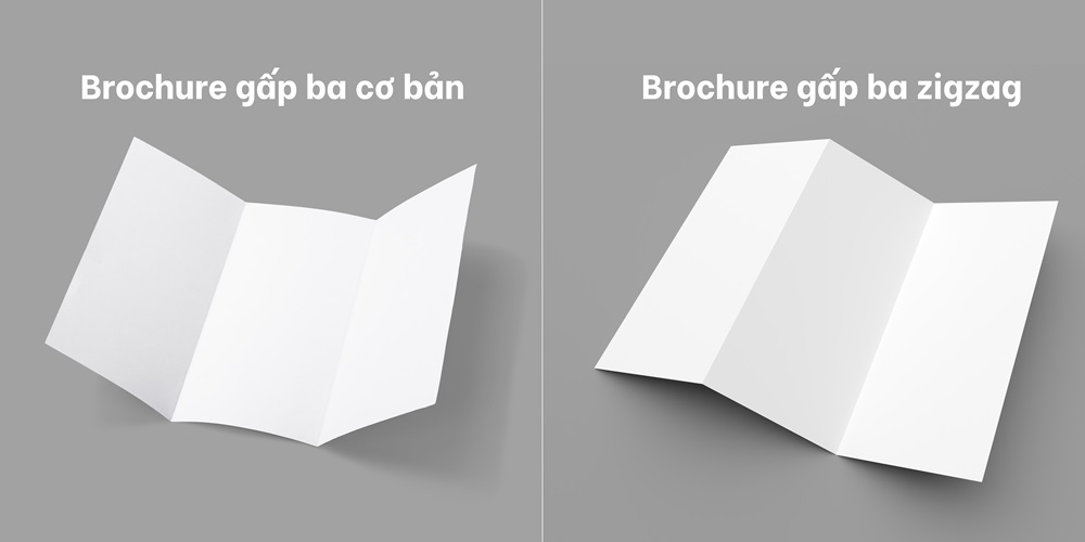 brochure gấp ba