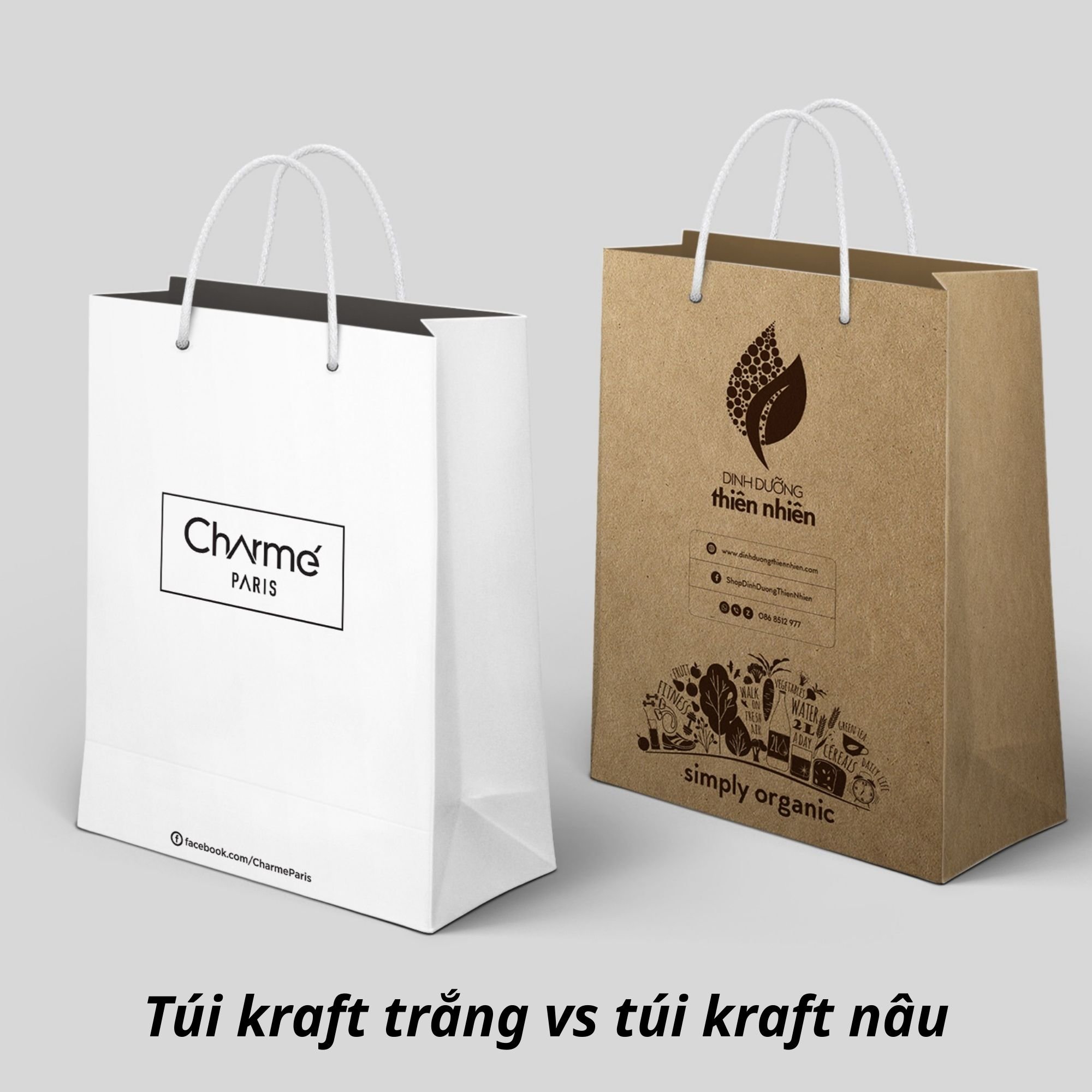 Túi kraft trắng vs túi kraft nâu