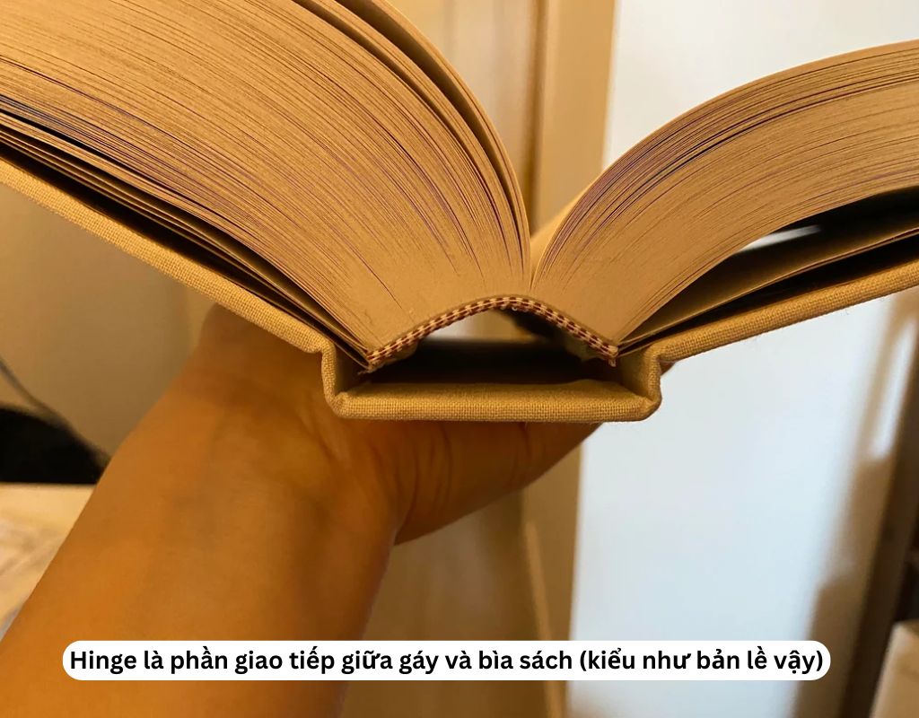 Hinge là phần giao tiếp giữa gáy và bìa sách (giống bản lề)