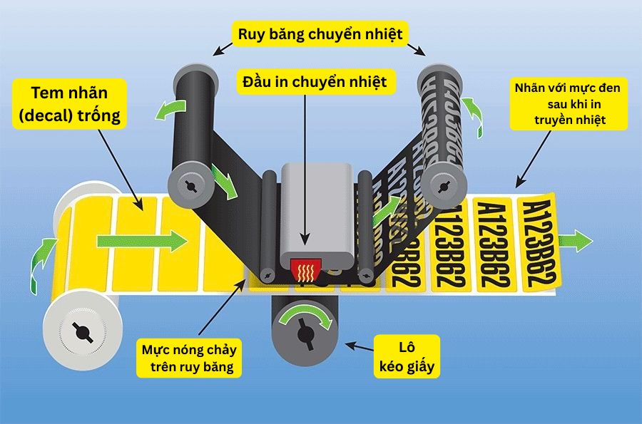 Nguyên lý hoạt động máy in chuyển nhiệt gián tiếp