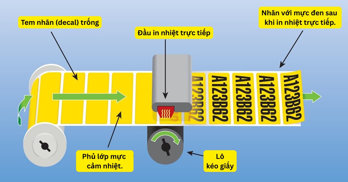 Nguyên lý hoạt động máy in nhiệt trực tiếp